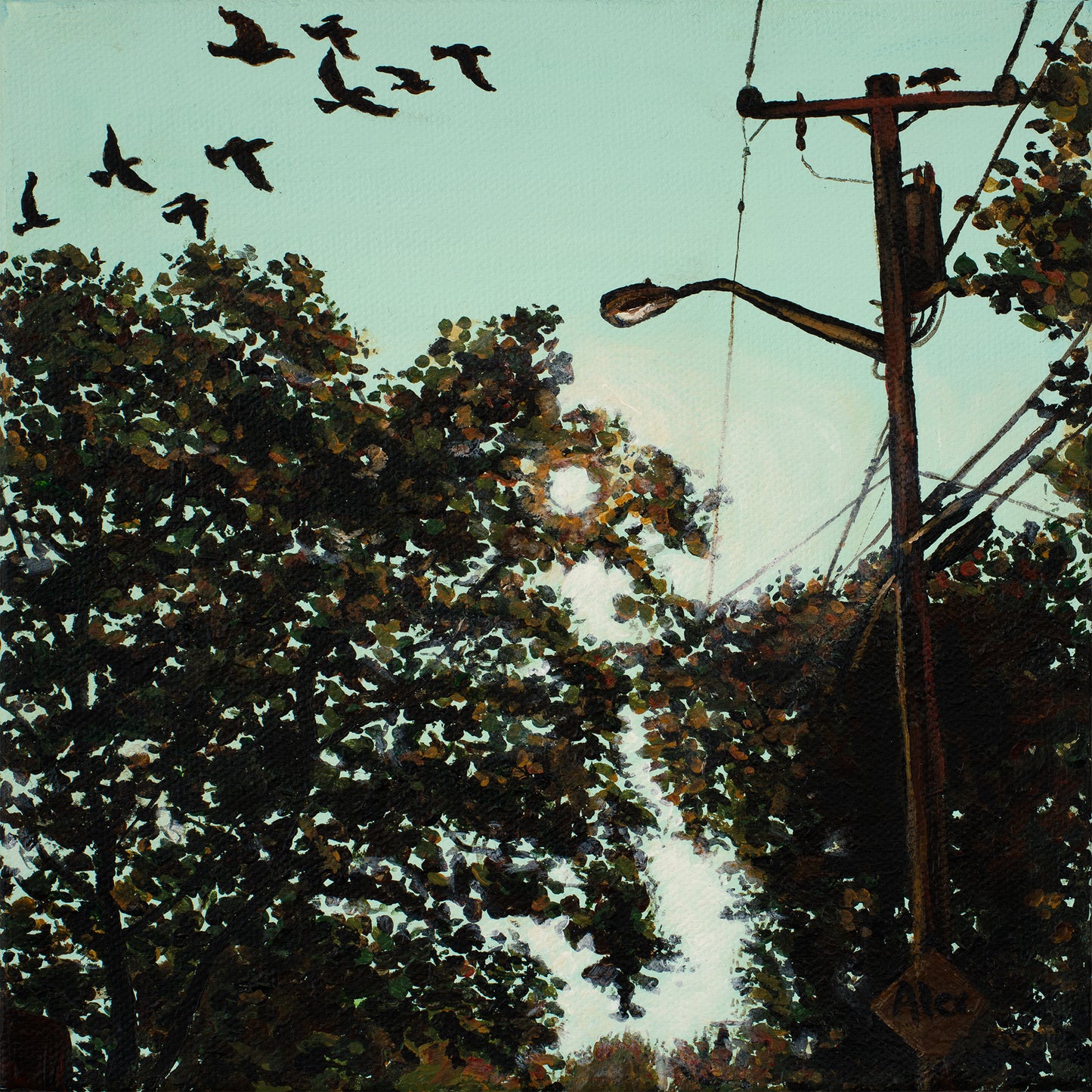 The best oak tree in Cranston